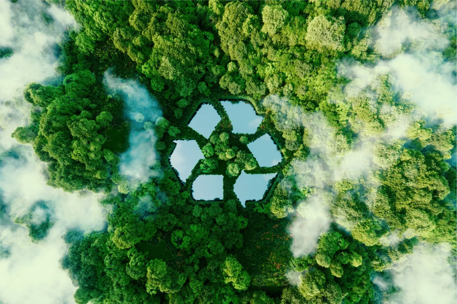 Aerial view of trees forming a recycling symbol